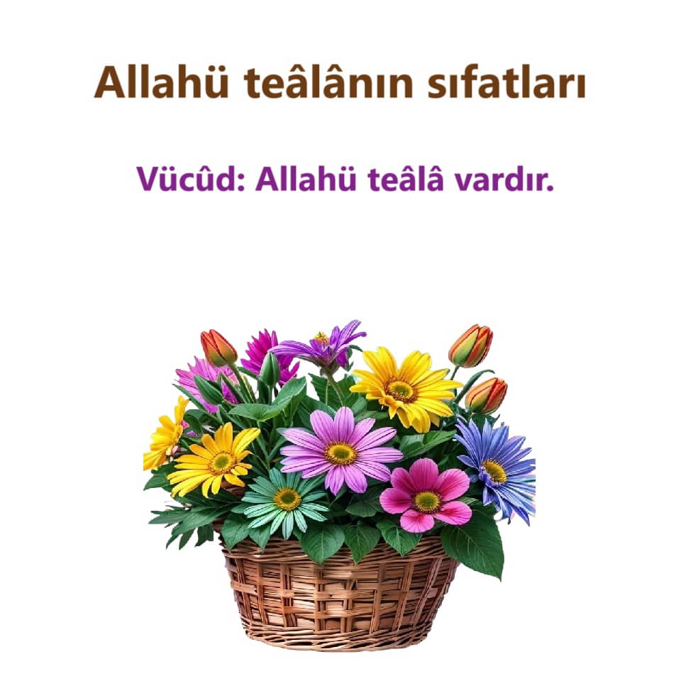 Vücud (1)